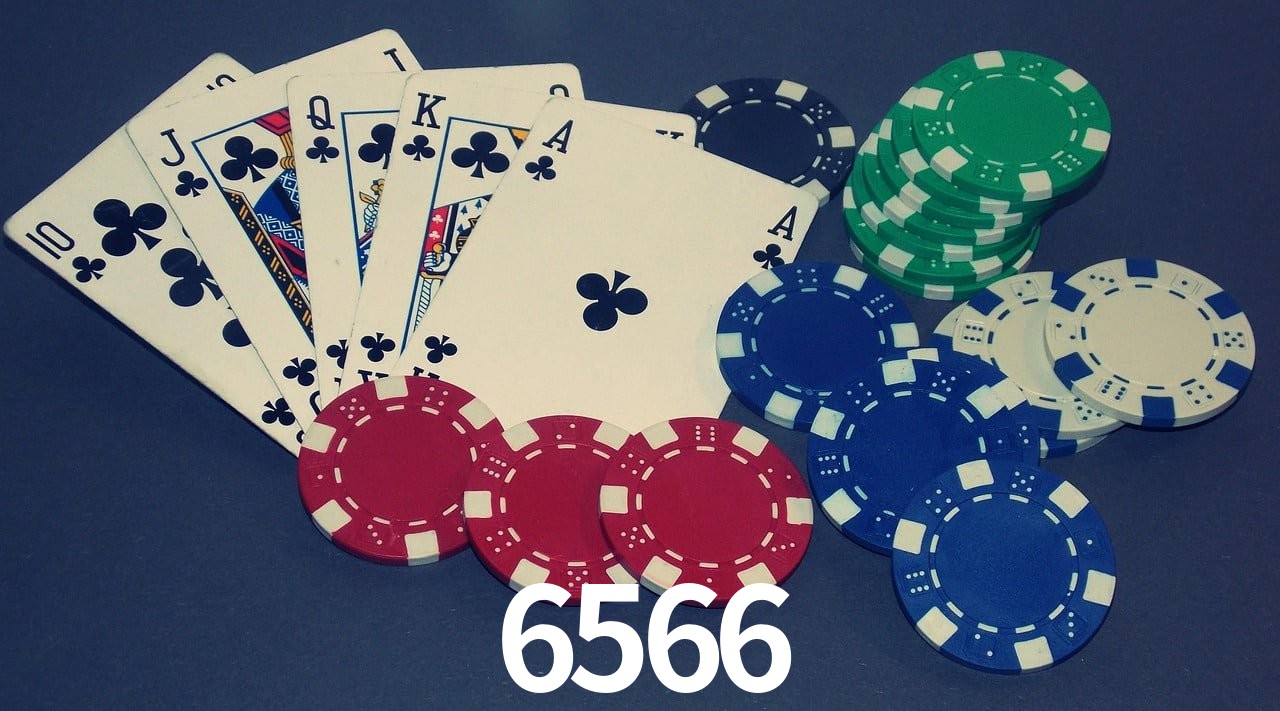 Player Reviews 6566